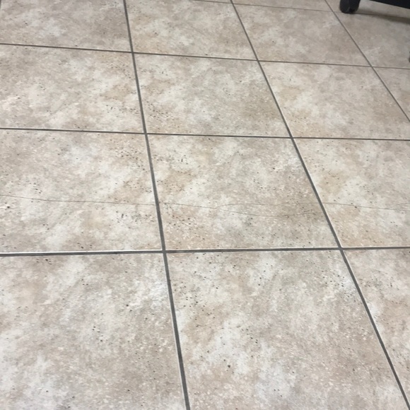 Meet your Posher, Balqees - Picture 1 of 1